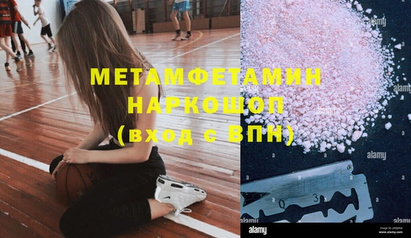 гидра Абаза