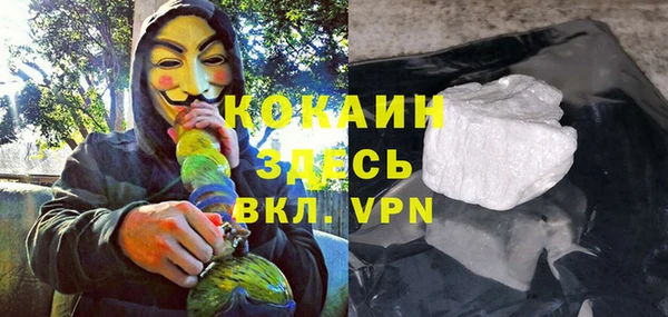 гидра Абаза