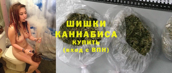гидра Абаза