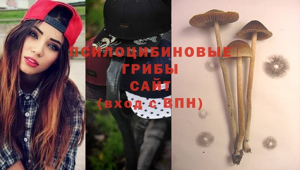 метамфетамин Медногорск