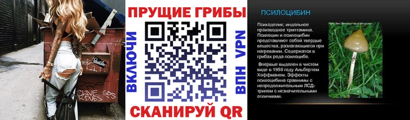 Галлюциногенные грибы Psilocybe  ссылка на мегу зеркало  это формула  Смоленск 
