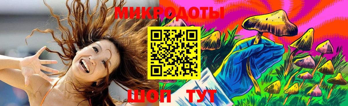 Галлюциногенные грибы Cubensis Смоленск