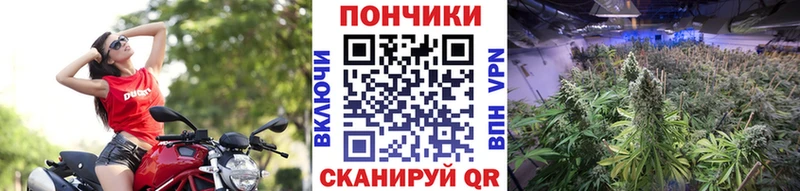 ссылка на мегу онион Смоленск Марихуана Amnesia